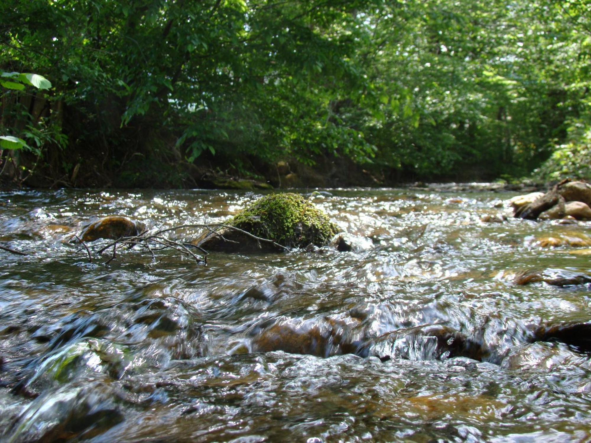 Gasthof Stegweber Schwanberg Bagian luar foto